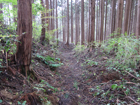 20191031hike (262)